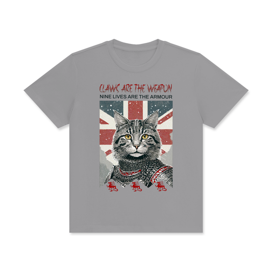 Knight,Cat,Claws,Armour