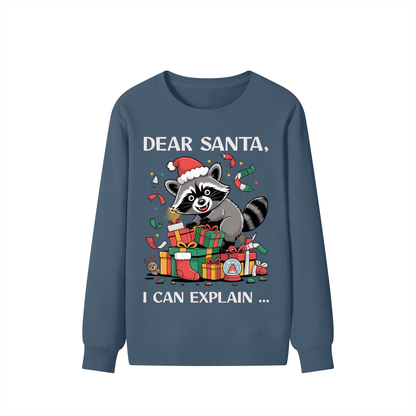 Christmas,Fun,Raccoon,Santa,Presents,Mischief