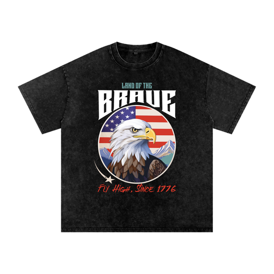 USA,Eagle,Land,Brave