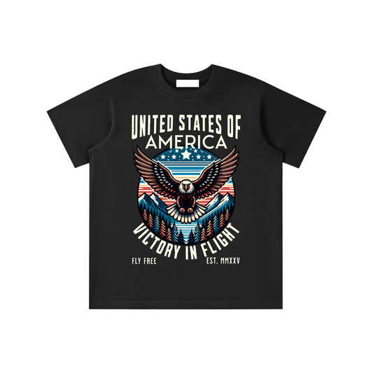 USA,Eagle,Victory,Flight