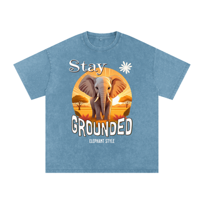 Elephant,Stay Grounded