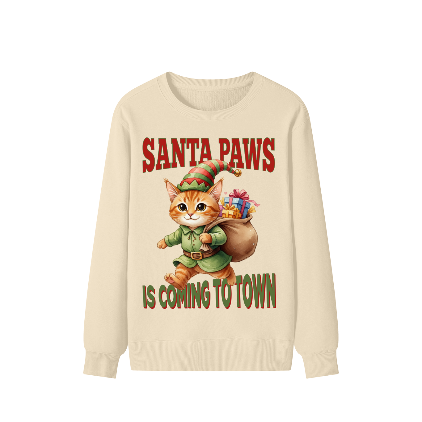 Christmas,Cat,Santa,Coming,Town