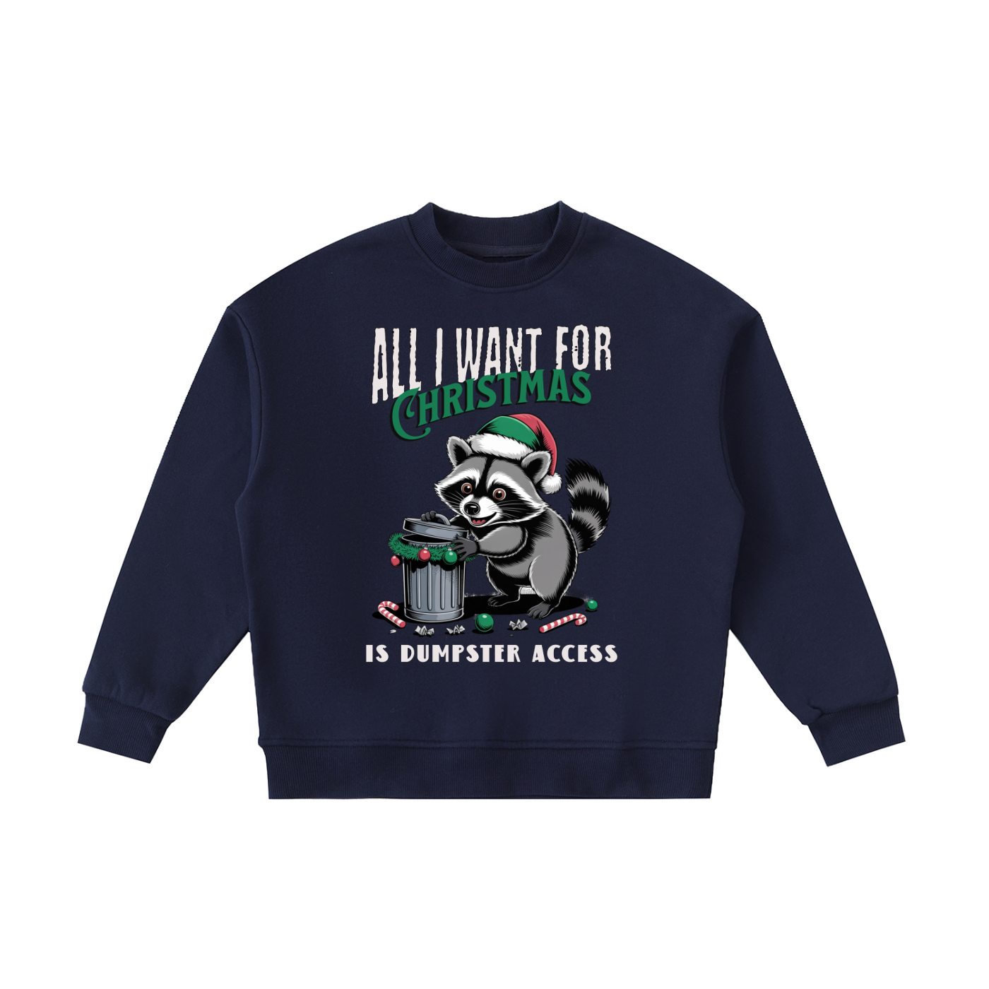 Christmas,Raccoon,Dumpster,Access