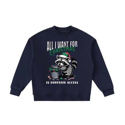 Christmas,Raccoon,Dumpster,Access