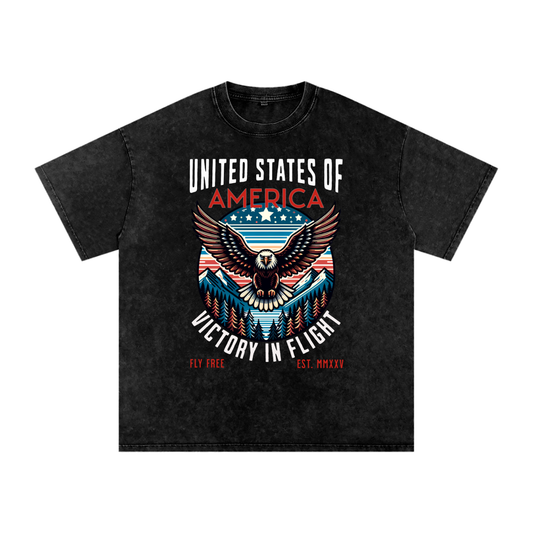 USA,Eagle,Victory,Flight
