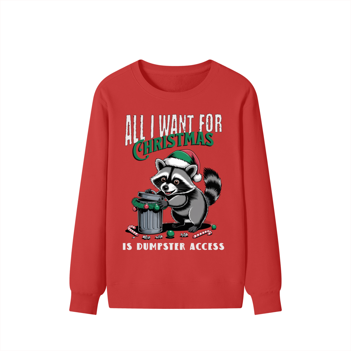 Christmas,Raccoon,Dumpster,Access