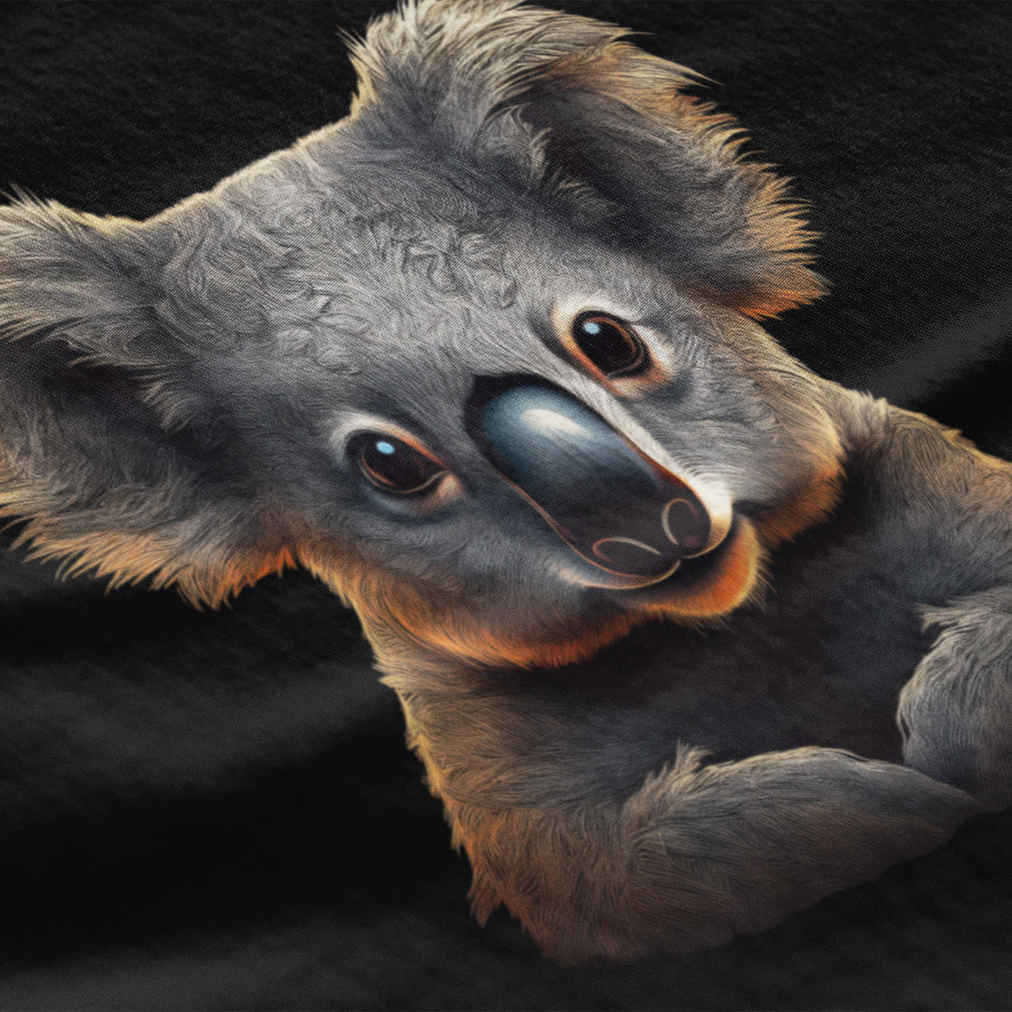 Close-up of a koala's face on a dark background