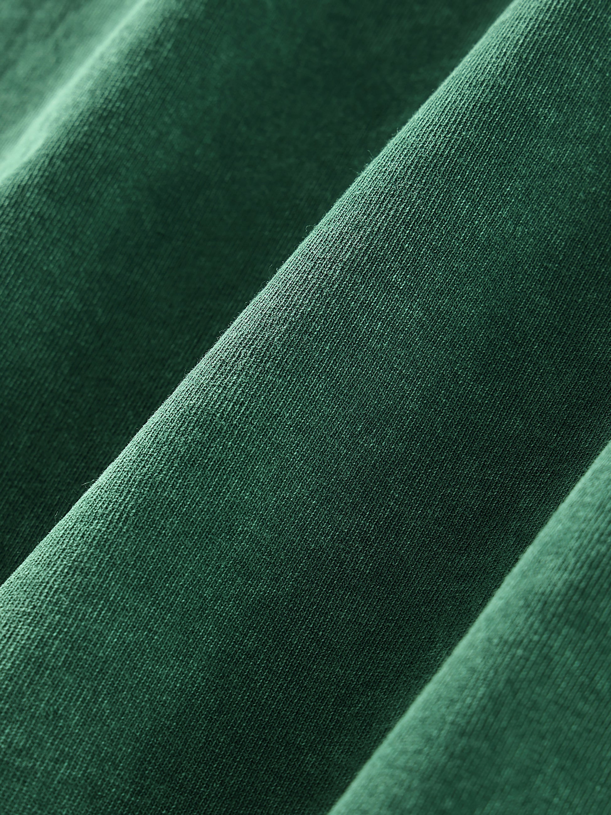 Cat,Purrseidon,Greek,Mythology 