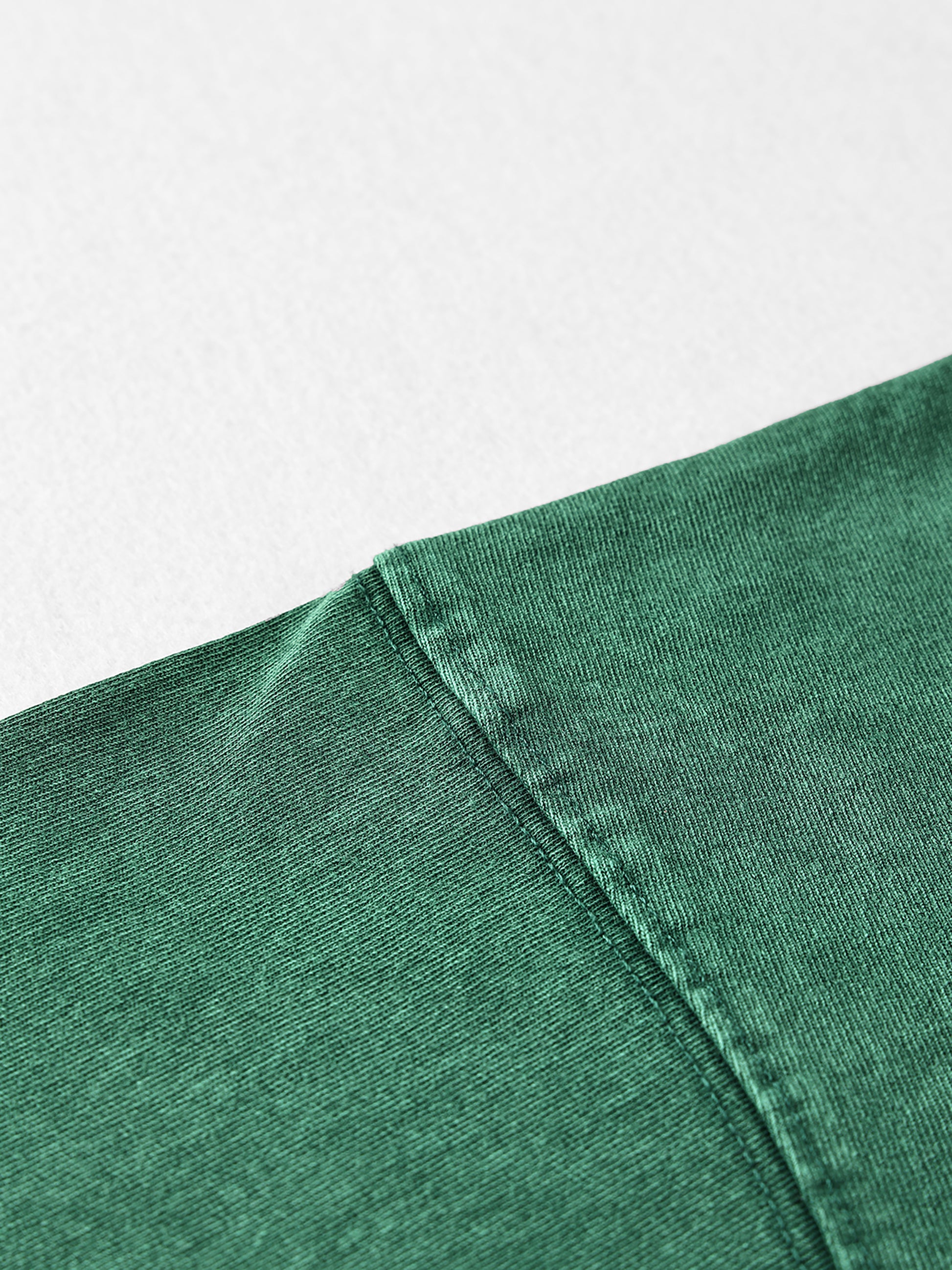 Cougar,Still,Silent,Waiting