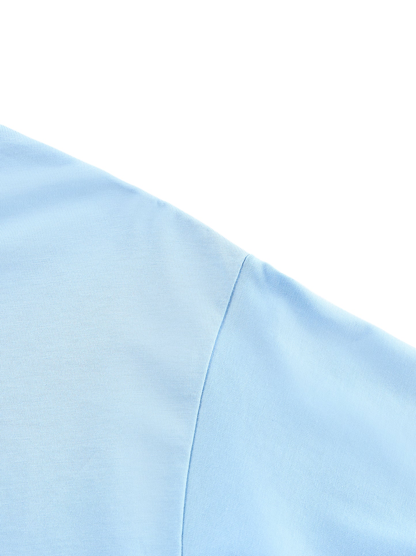 Cougar,Silent,Still,Waiting